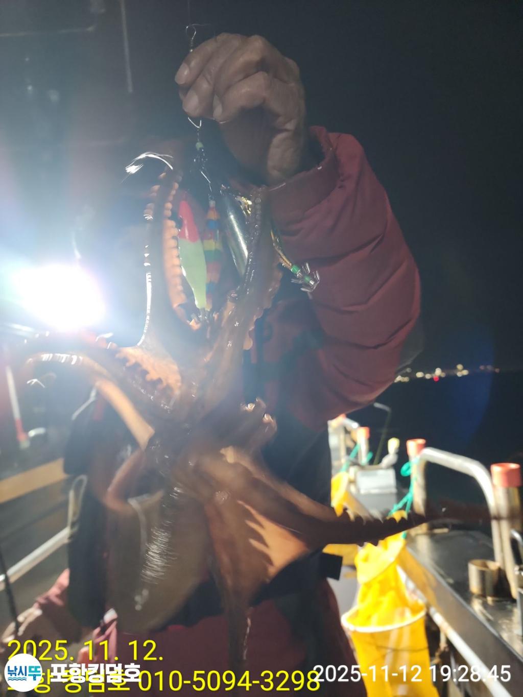 낚시뚜,돌문어,영일만항,포항 킹덤호,낚시뚜21