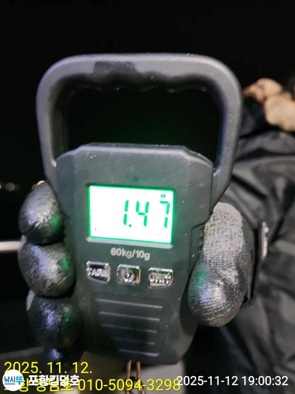 낚시뚜,돌문어,영일만항,포항 킹덤호,낚시뚜17