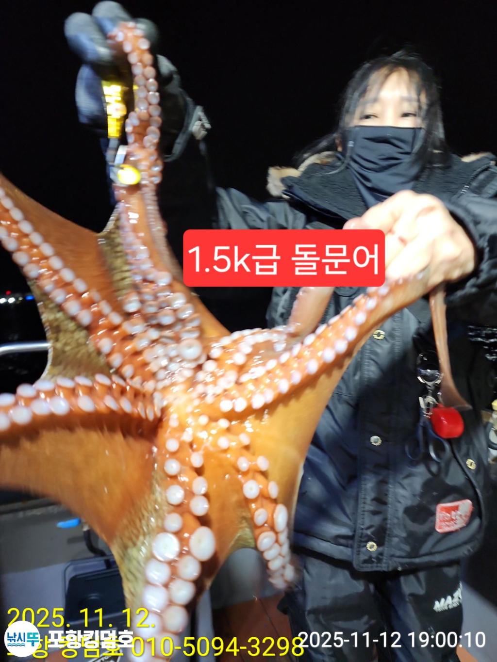 낚시뚜,돌문어,영일만항,포항 킹덤호,낚시뚜16