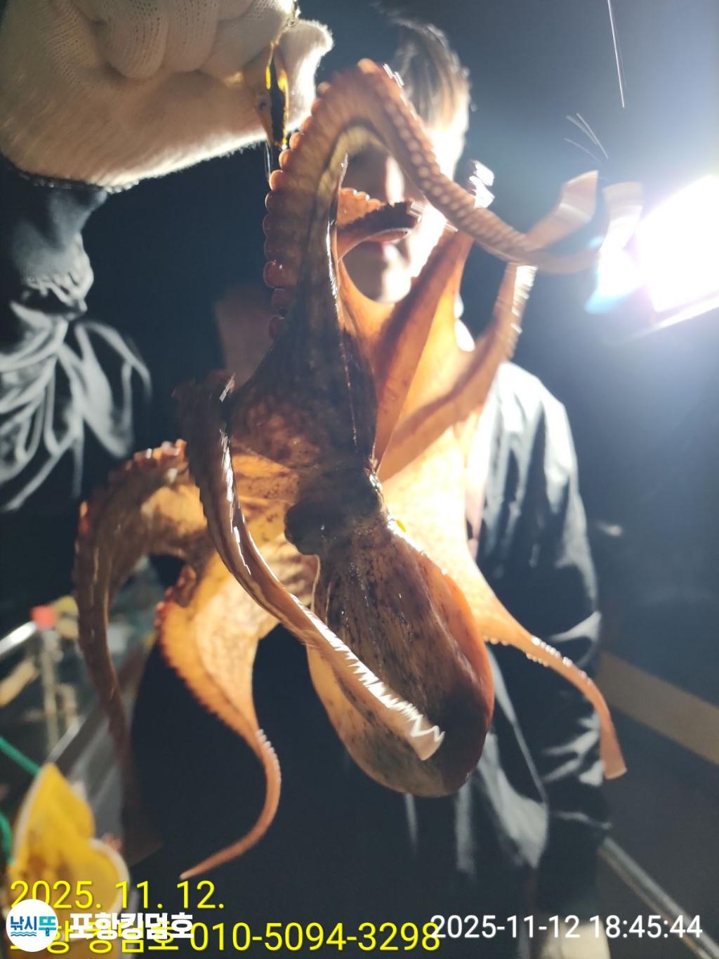 낚시뚜,돌문어,영일만항,포항 킹덤호,낚시뚜15