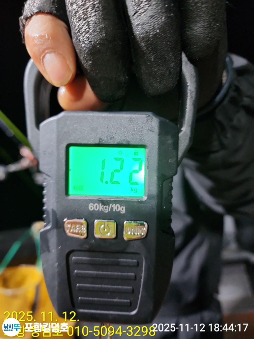 낚시뚜,돌문어,영일만항,포항 킹덤호,낚시뚜14