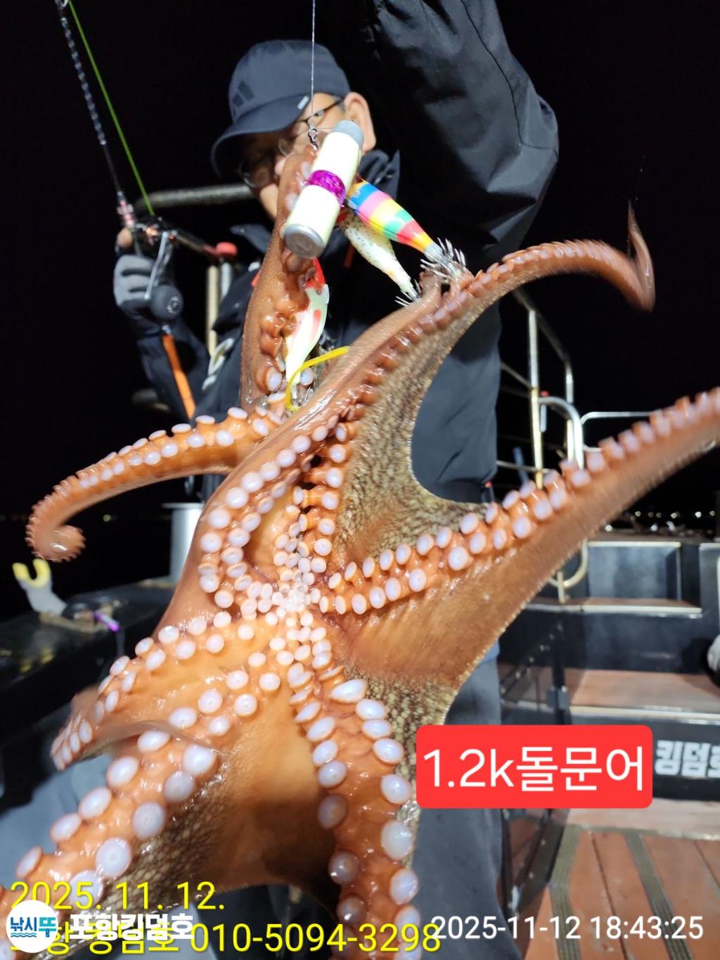 낚시뚜,돌문어,영일만항,포항 킹덤호,낚시뚜13