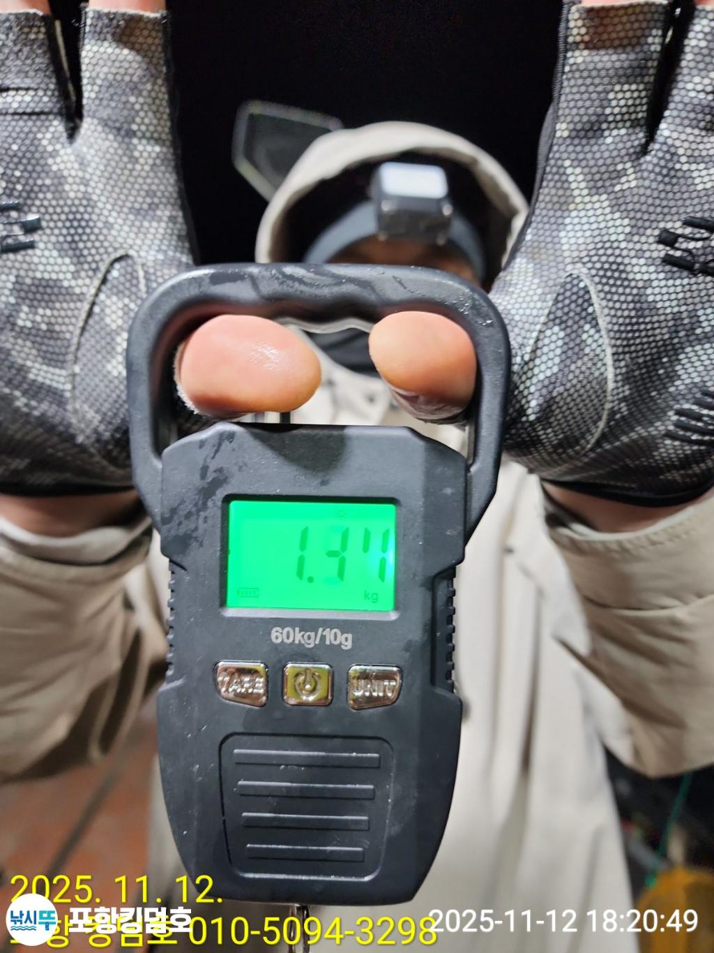 낚시뚜,돌문어,영일만항,포항 킹덤호,낚시뚜12