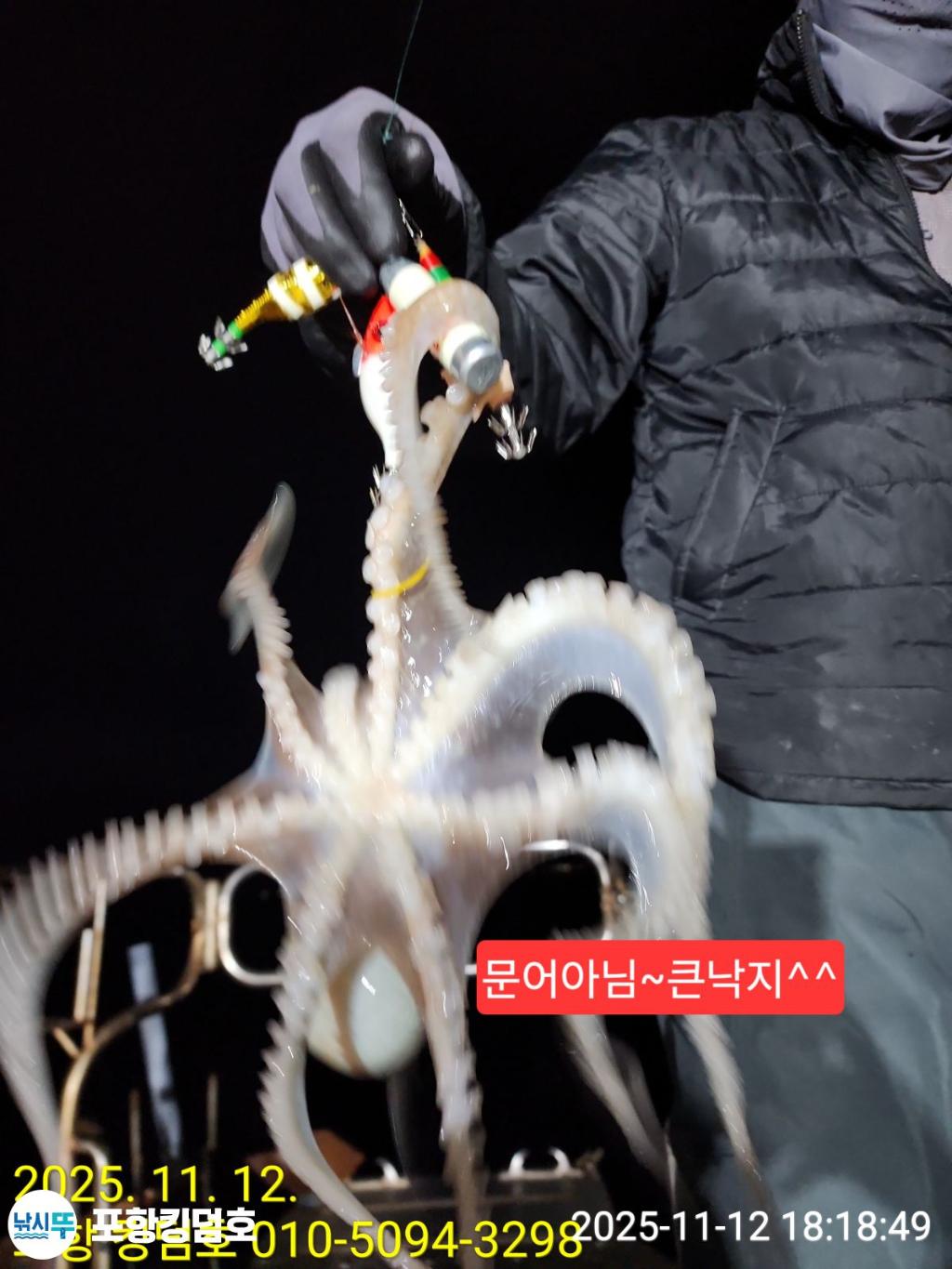 낚시뚜,돌문어,영일만항,포항 킹덤호,낚시뚜9
