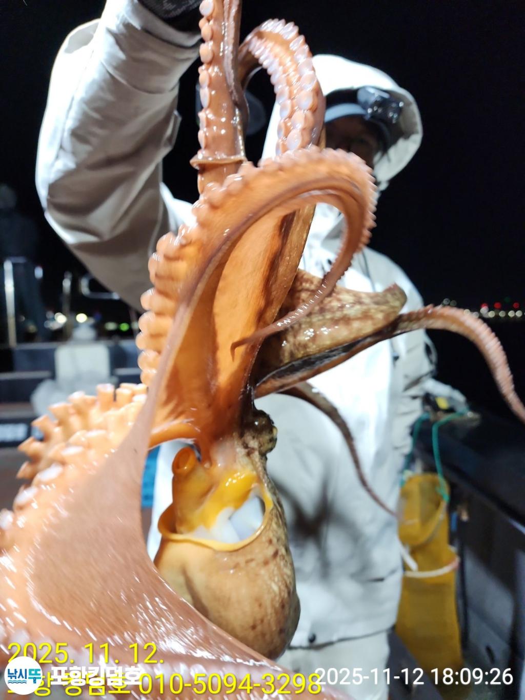 낚시뚜,돌문어,영일만항,포항 킹덤호,낚시뚜6