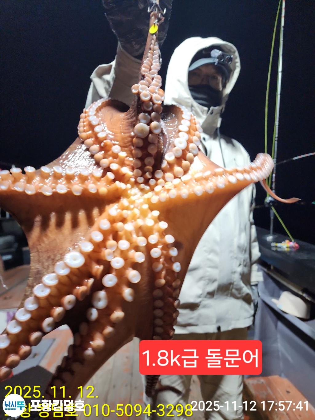 낚시뚜,돌문어,영일만항,포항 킹덤호,낚시뚜0