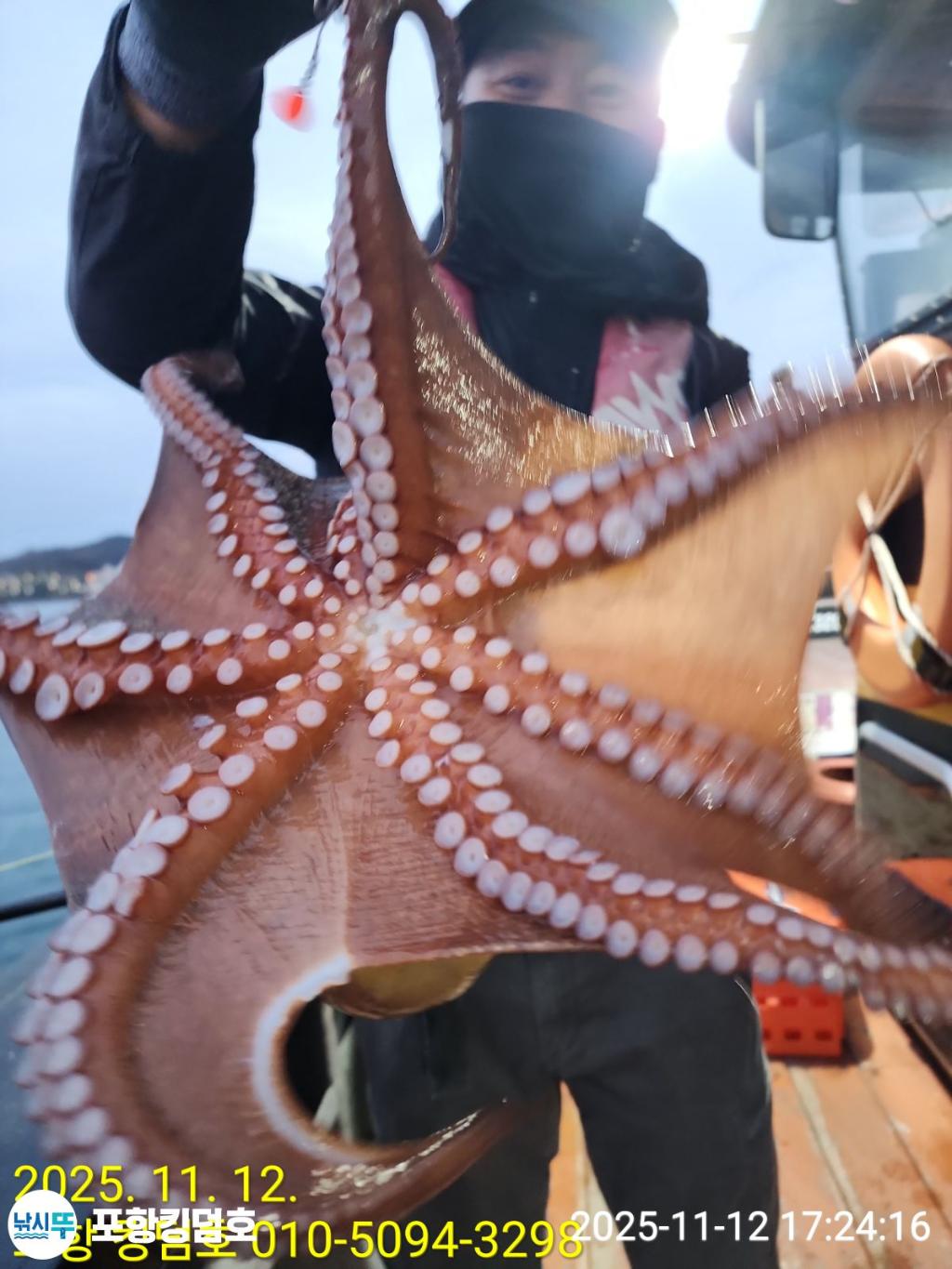 낚시뚜,돌문어,영일만항,포항 킹덤호,낚시뚜3