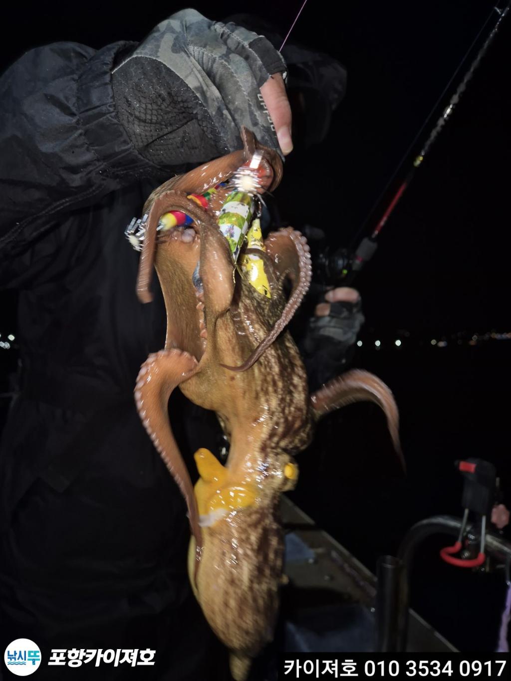 낚시뚜,기타 (직접입력),영일만항,포항카이져호,낚시뚜27