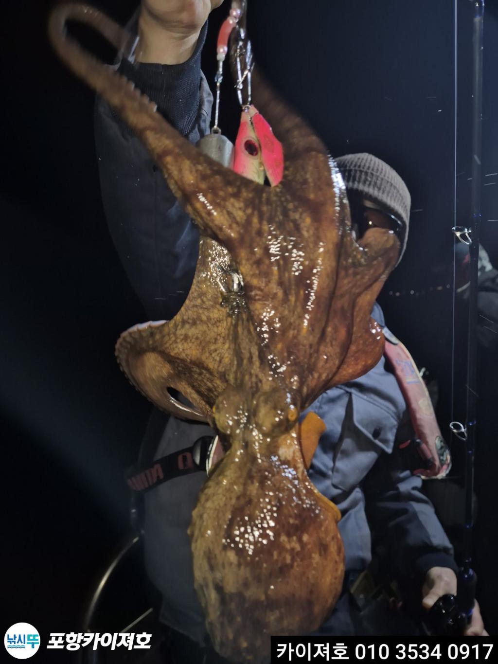 낚시뚜,기타 (직접입력),영일만항,포항카이져호,낚시뚜21