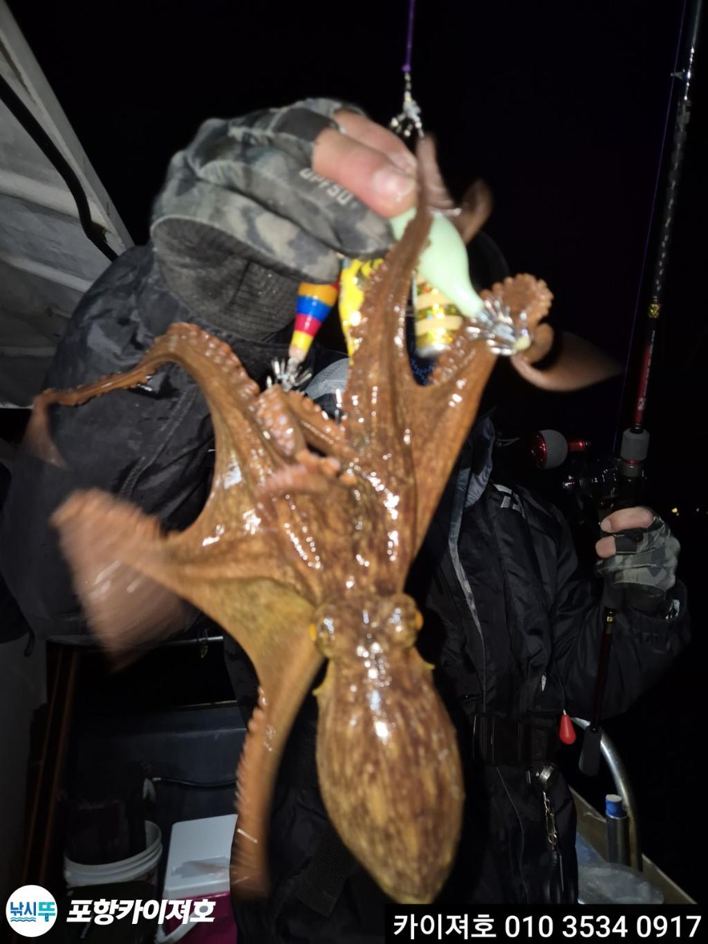 낚시뚜,기타 (직접입력),영일만항,포항카이져호,낚시뚜12