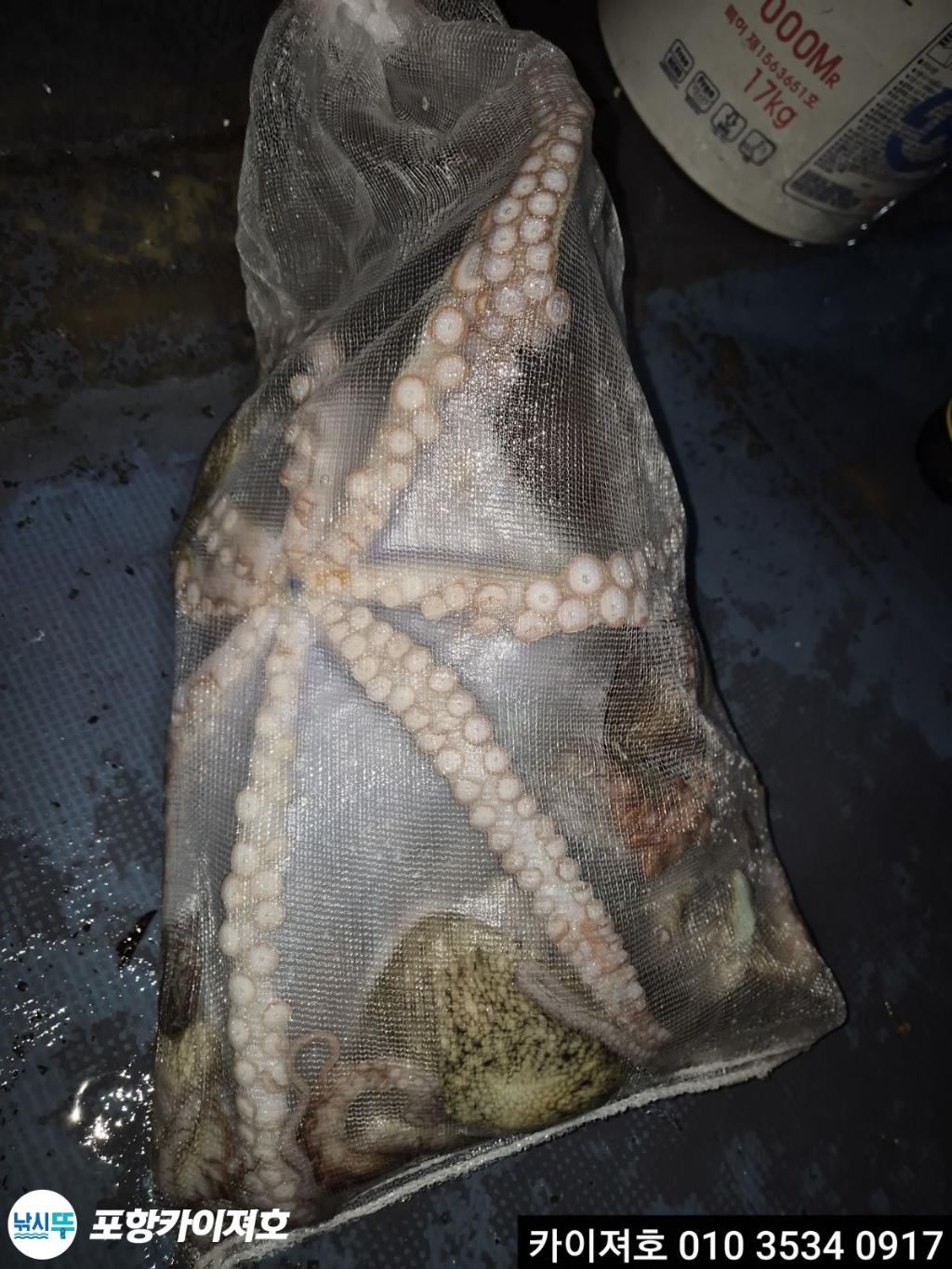 낚시뚜,기타 (직접입력),영일만항,포항카이져호,낚시뚜4