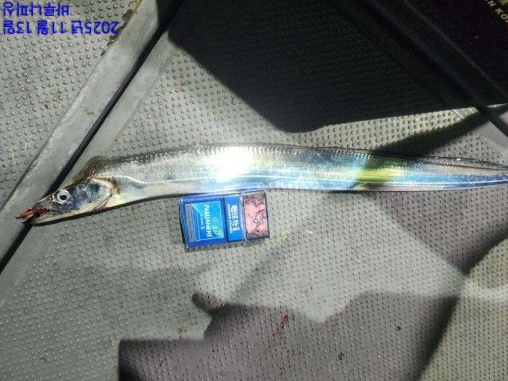 낚시뚜,갈치,속천항(진해),바루나피싱,낚시뚜10