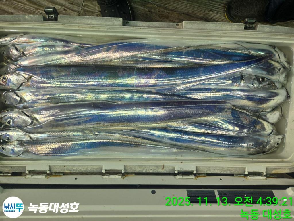 낚시뚜,갈치,녹동항,녹동대성호,낚시뚜76