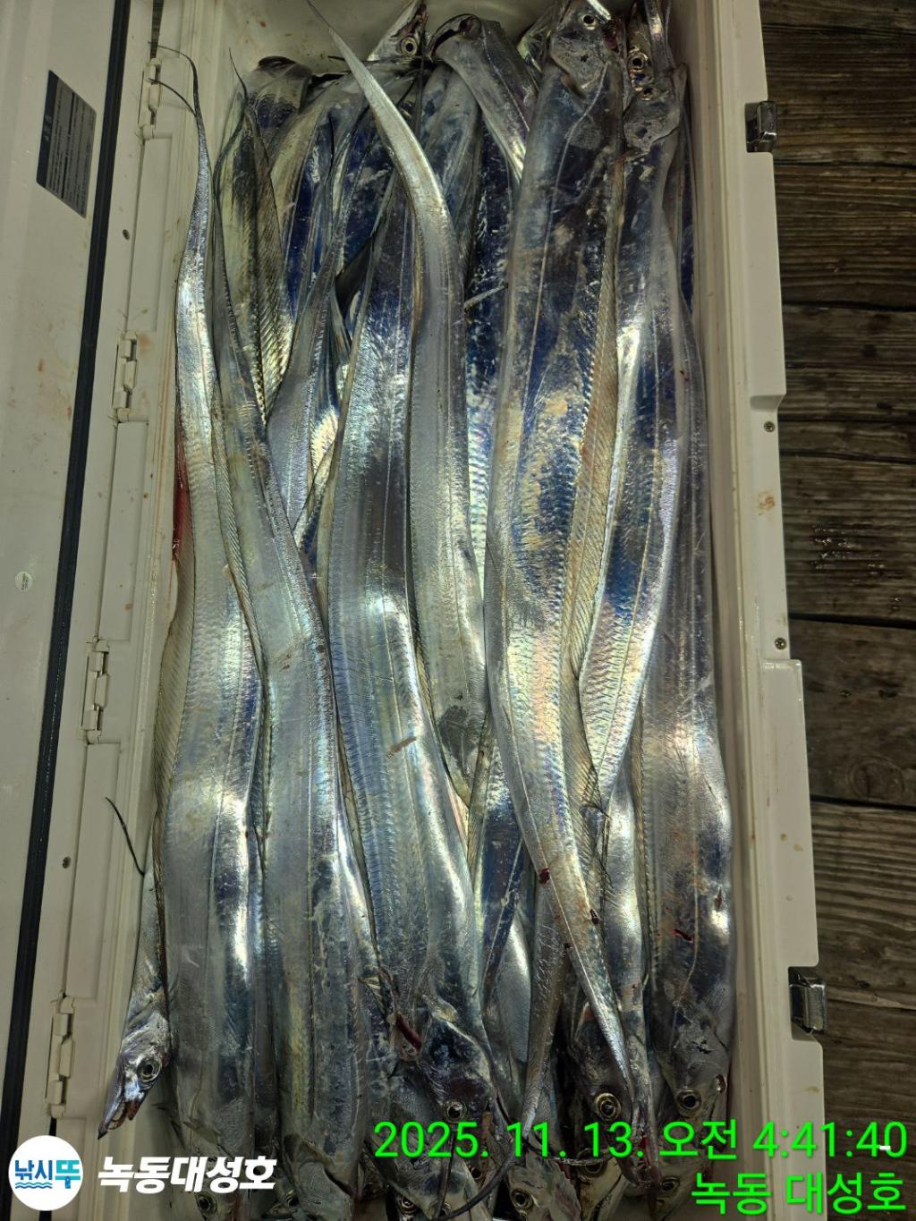 낚시뚜,갈치,녹동항,녹동대성호,낚시뚜72