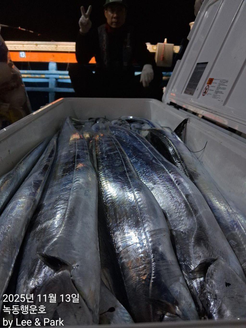 낚시뚜,갈치,녹동항,녹동대성호,낚시뚜44