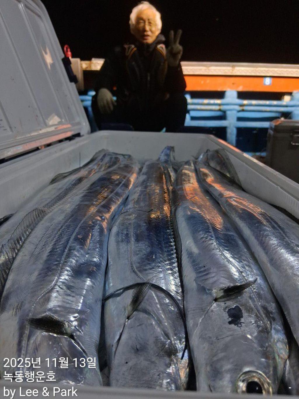 낚시뚜,갈치,녹동항,녹동대성호,낚시뚜40