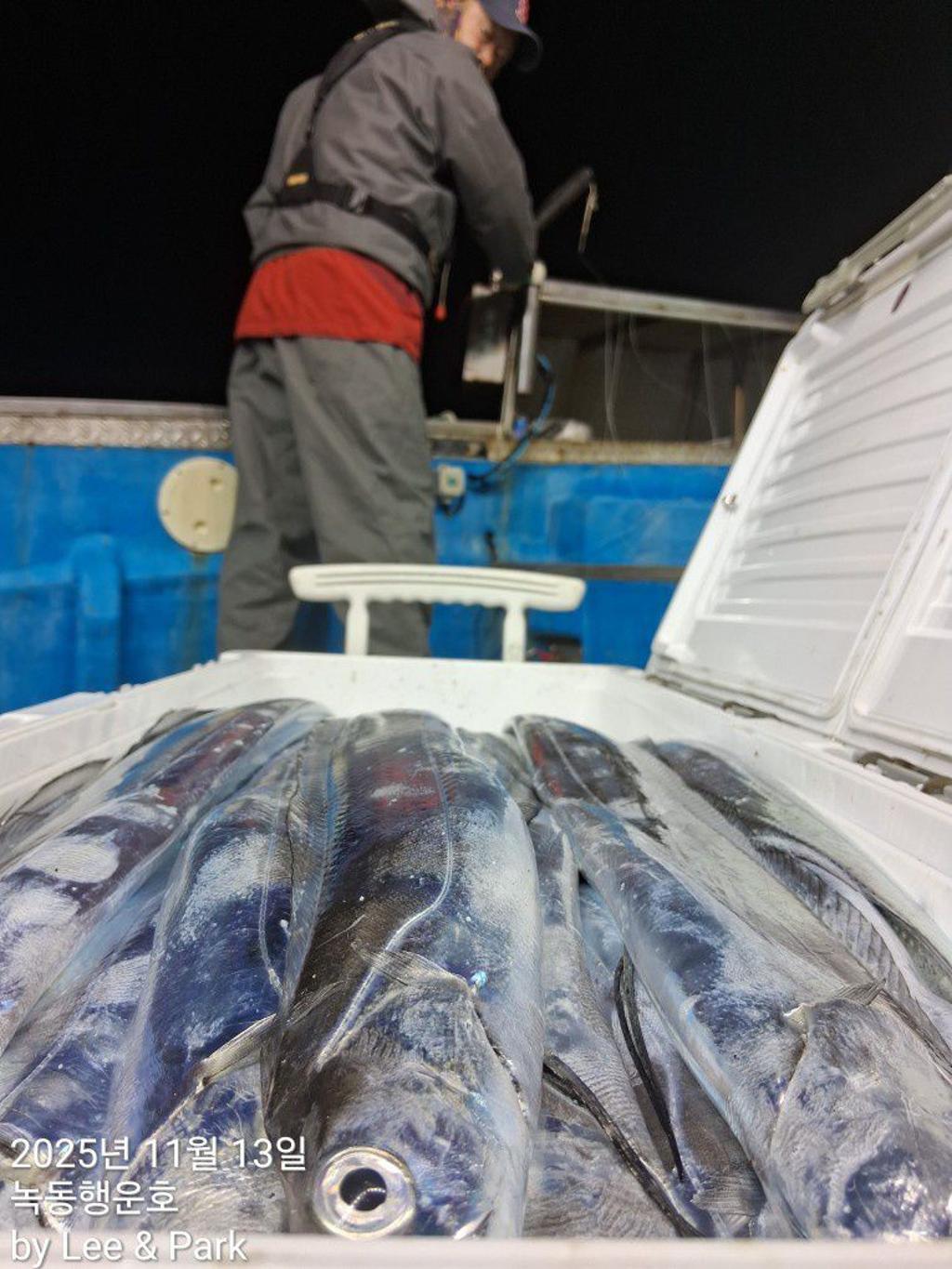 낚시뚜,갈치,녹동항,녹동대성호,낚시뚜37