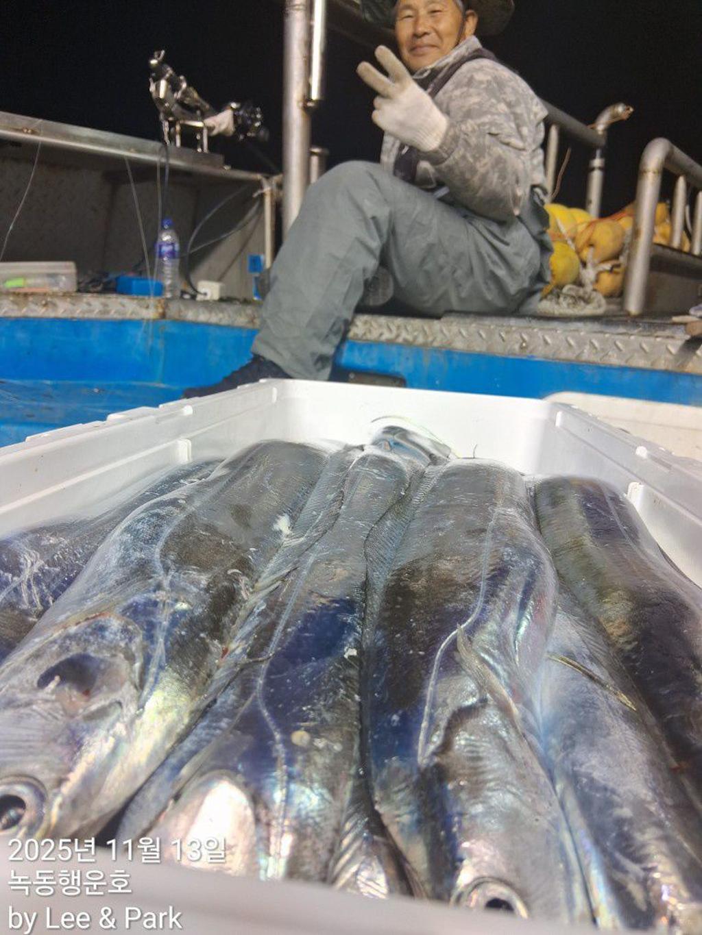 낚시뚜,갈치,녹동항,녹동대성호,낚시뚜36