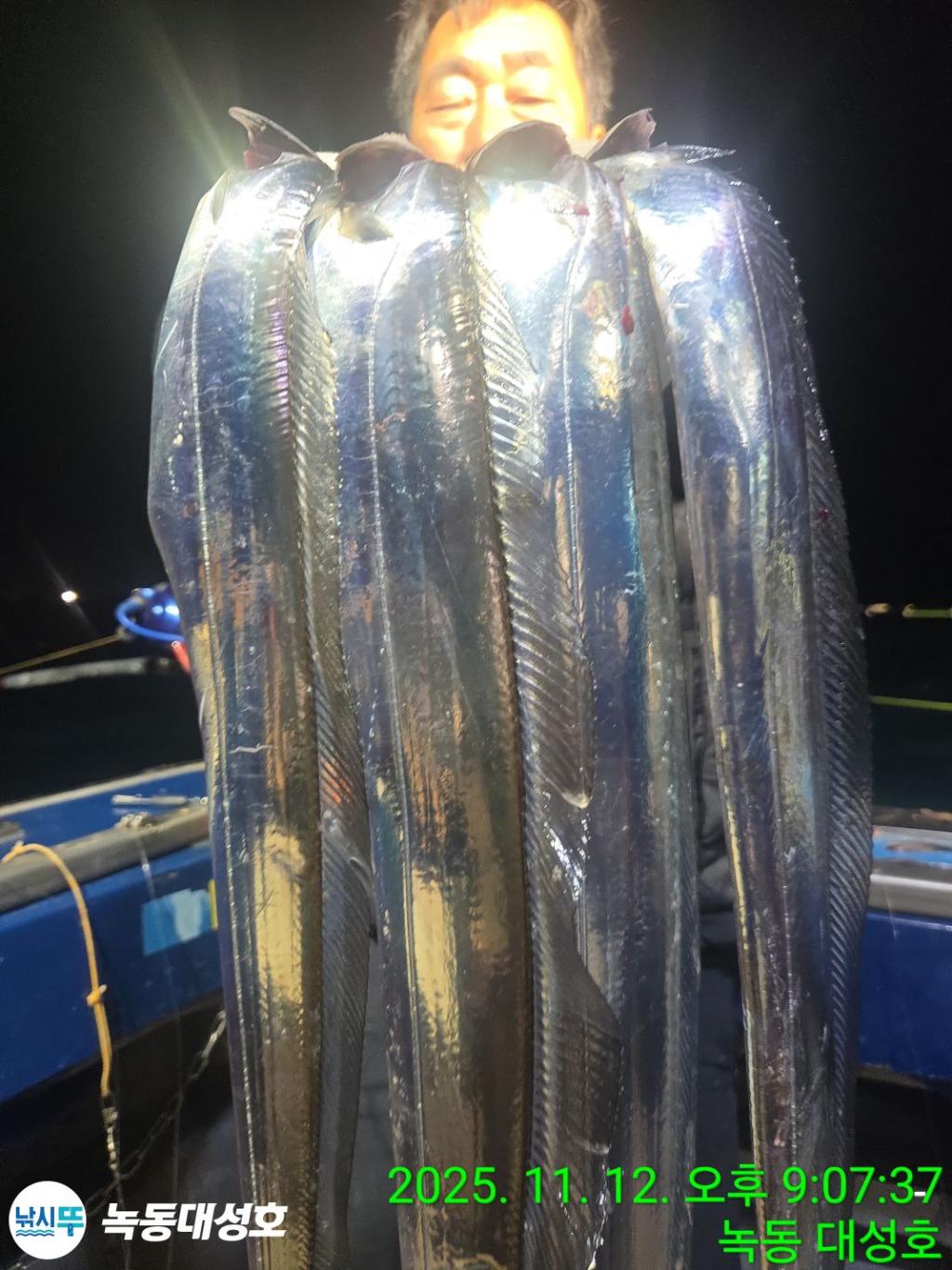 낚시뚜,갈치,녹동항,녹동대성호,낚시뚜33