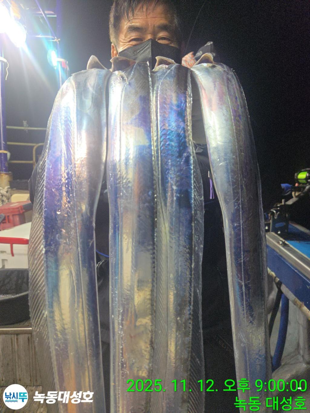 낚시뚜,갈치,녹동항,녹동대성호,낚시뚜31