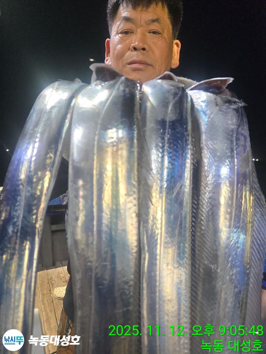 낚시뚜,갈치,녹동항,녹동대성호,낚시뚜30