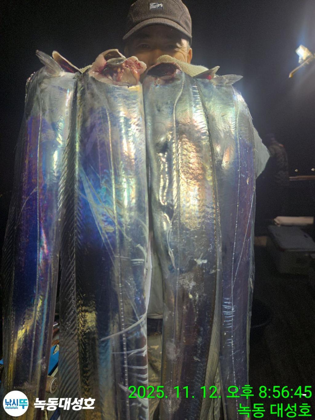 낚시뚜,갈치,녹동항,녹동대성호,낚시뚜29