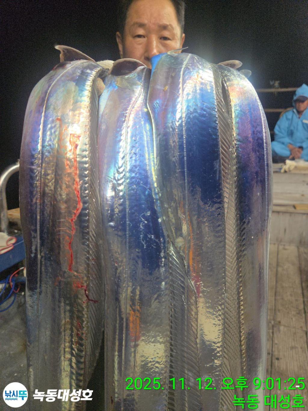 낚시뚜,갈치,녹동항,녹동대성호,낚시뚜25