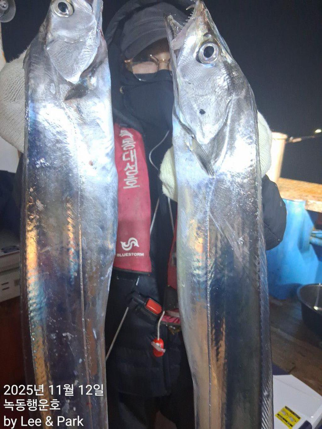 낚시뚜,갈치,녹동항,녹동대성호,낚시뚜24