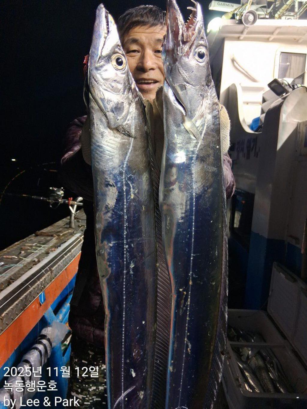 낚시뚜,갈치,녹동항,녹동대성호,낚시뚜17