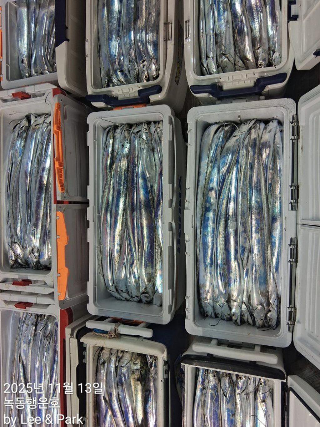 낚시뚜,갈치,녹동항,녹동대성호,낚시뚜9