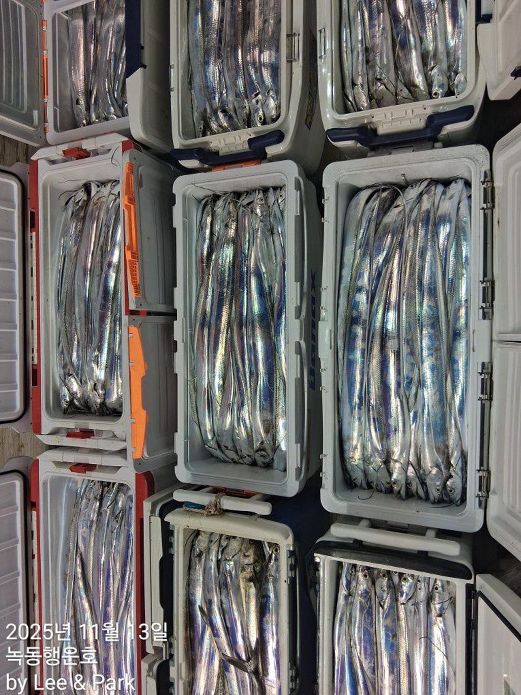 낚시뚜,갈치,녹동항,녹동대성호,낚시뚜6