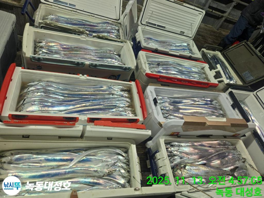 낚시뚜,갈치,녹동항,녹동대성호,낚시뚜4