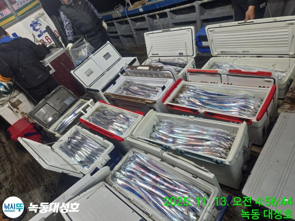 낚시뚜,갈치,녹동항,녹동대성호,낚시뚜1