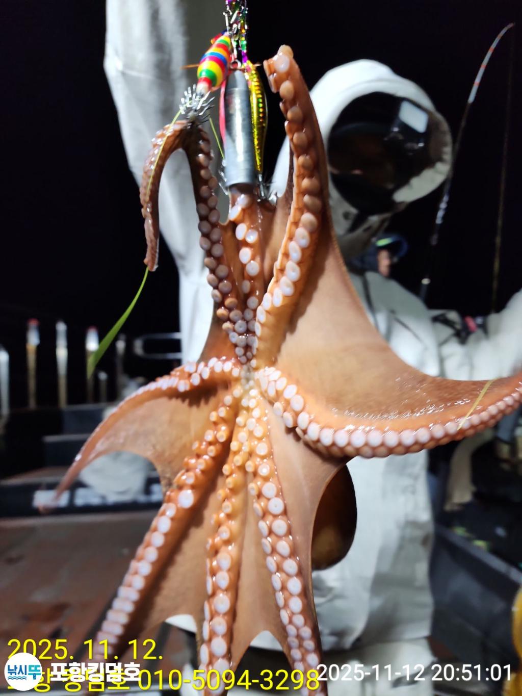 낚시뚜,돌문어,영일만항,포항 킹덤호,낚시뚜13