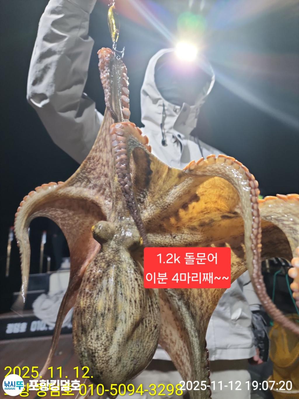 낚시뚜,돌문어,영일만항,포항 킹덤호,낚시뚜12