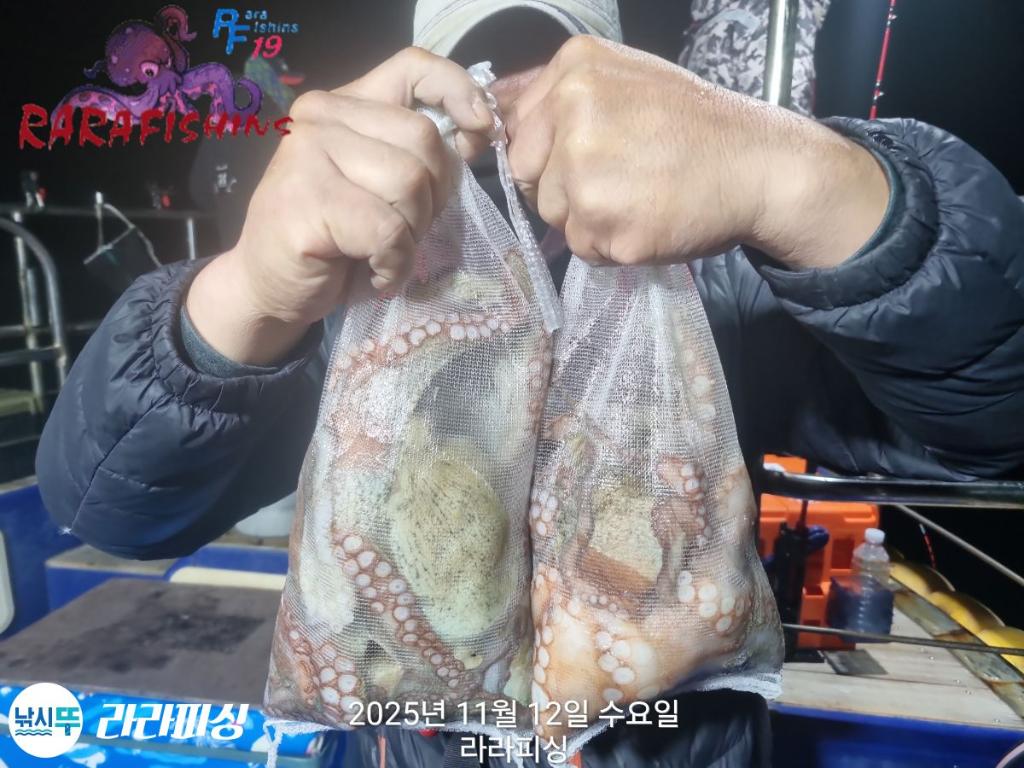 낚시뚜,돌문어,속천항(진해),라라피싱,낚시뚜19