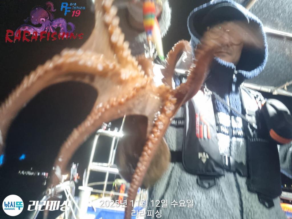 낚시뚜,돌문어,속천항(진해),라라피싱,낚시뚜13