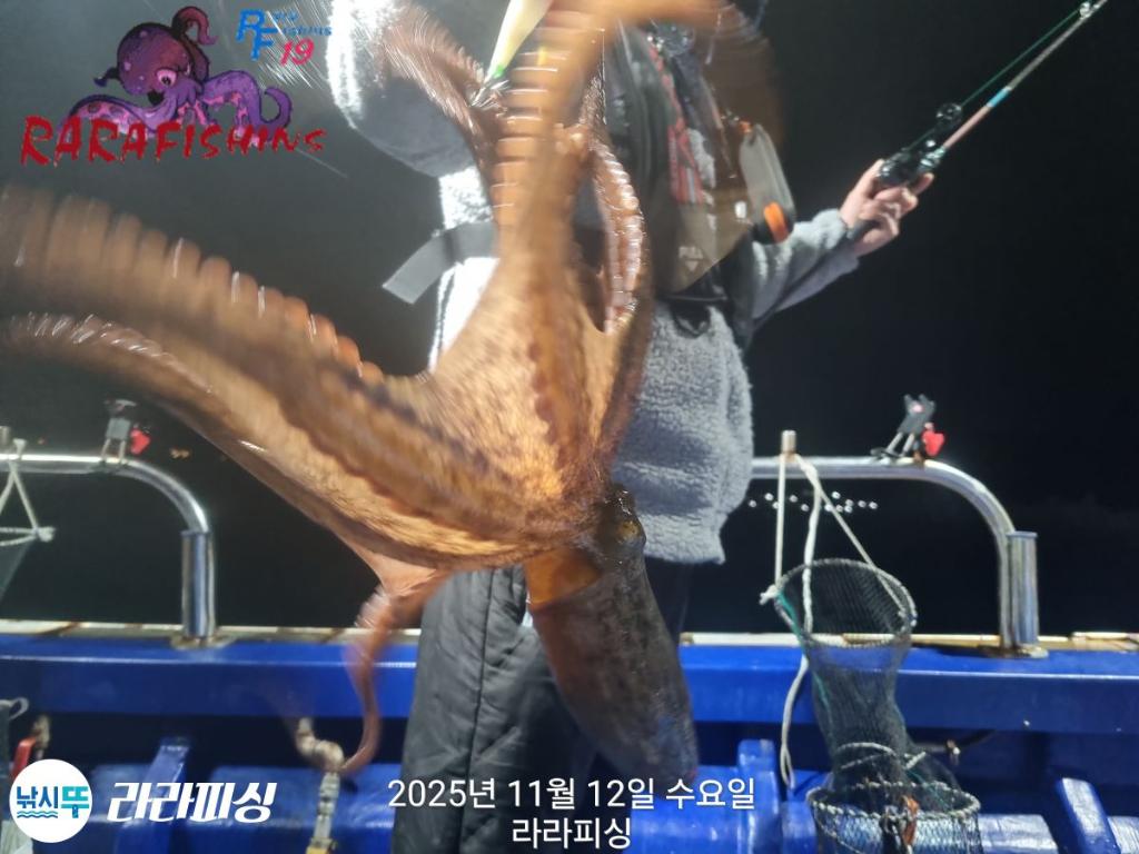 낚시뚜,돌문어,속천항(진해),라라피싱,낚시뚜12