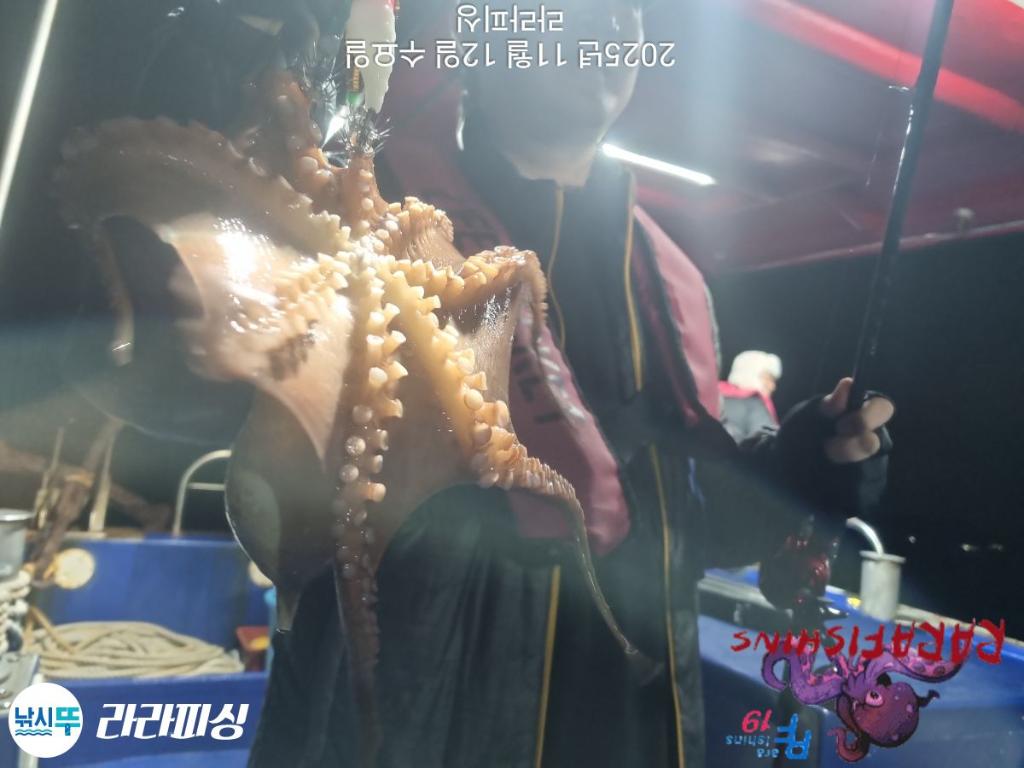 낚시뚜,돌문어,속천항(진해),라라피싱,낚시뚜8
