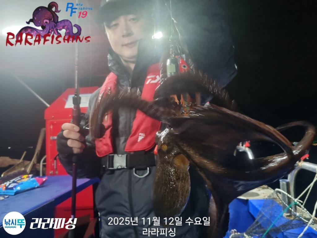 낚시뚜,돌문어,속천항(진해),라라피싱,낚시뚜5