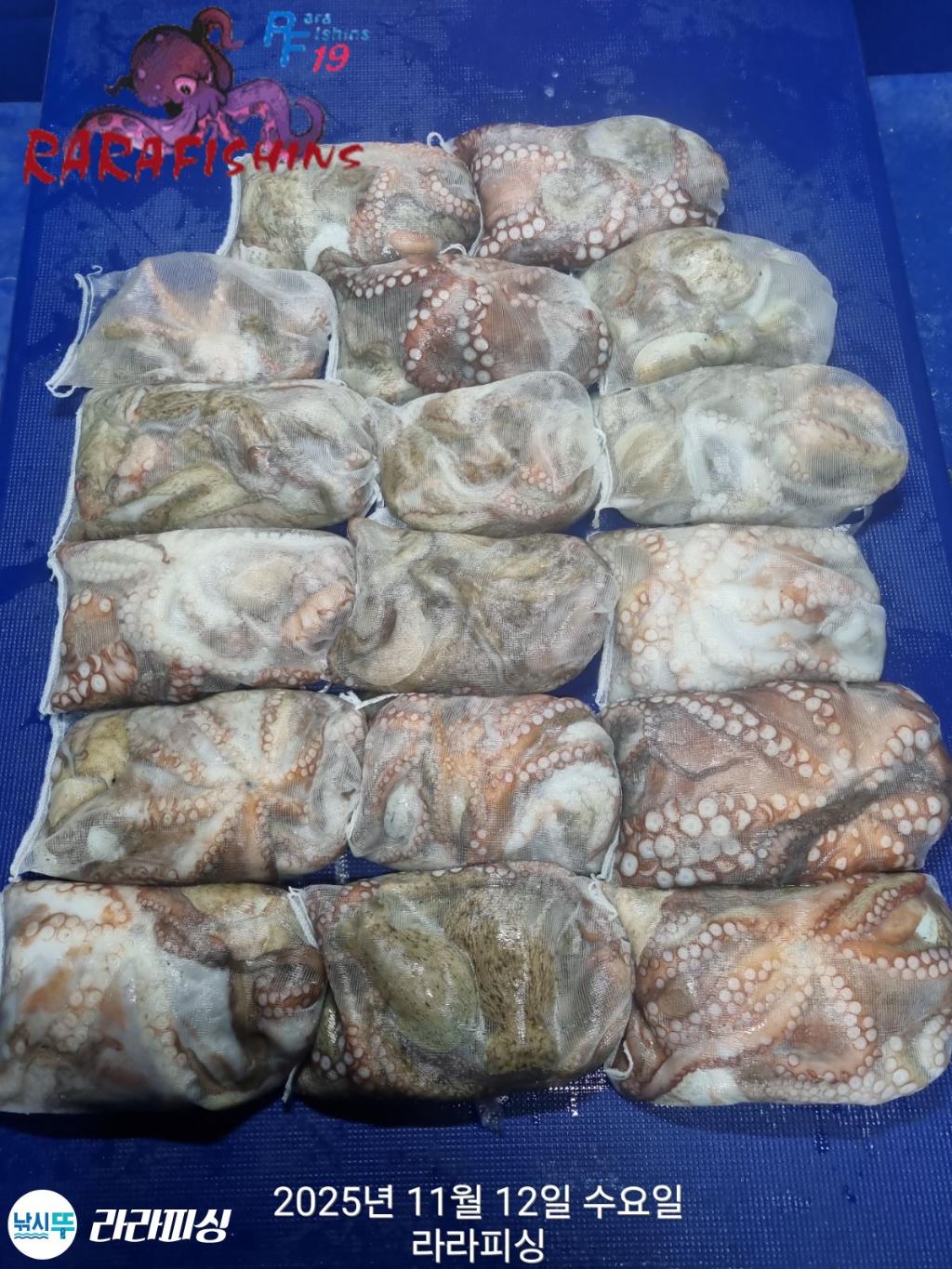 낚시뚜,돌문어,속천항(진해),라라피싱,낚시뚜1