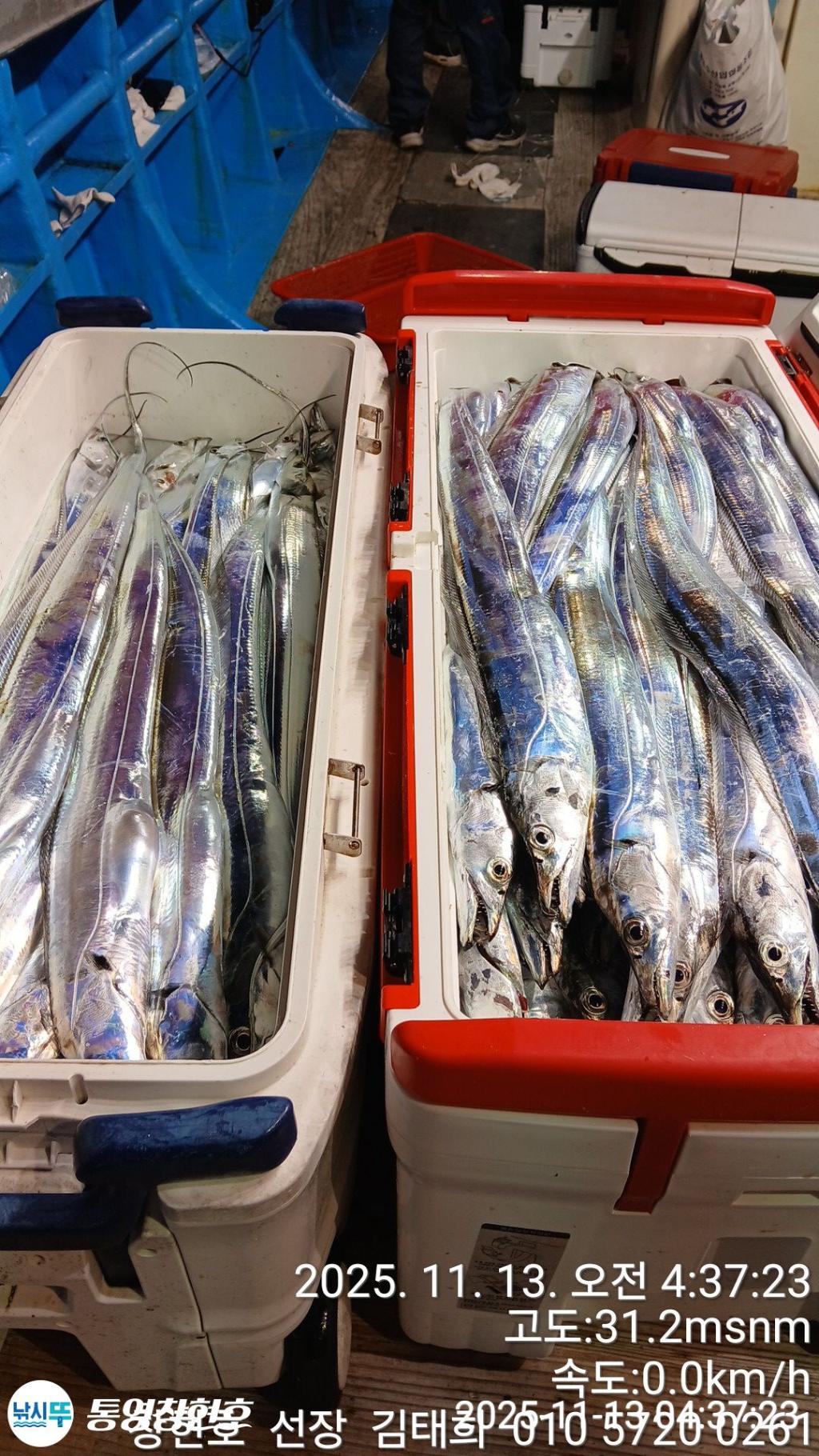 낚시뚜,갈치,통영연명항,통영창현호,낚시뚜8