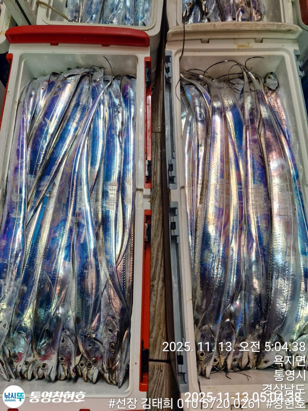 낚시뚜,갈치,통영연명항,통영창현호,낚시뚜2