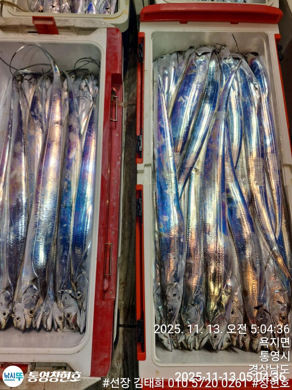 낚시뚜,갈치,통영연명항,통영창현호,낚시뚜1