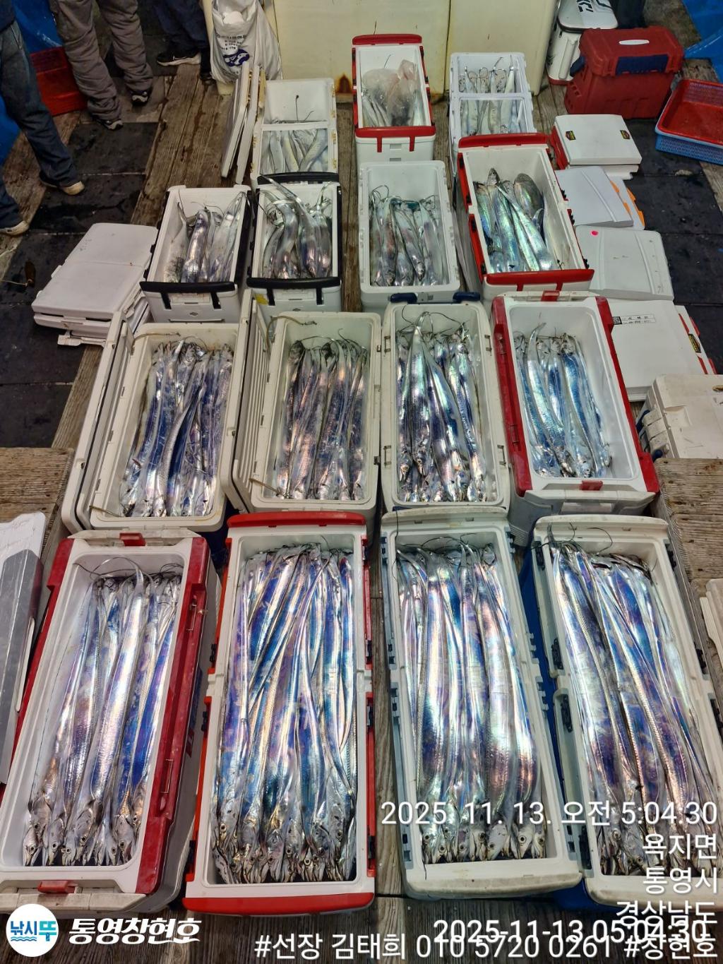 낚시뚜,갈치,통영연명항,통영창현호,낚시뚜0