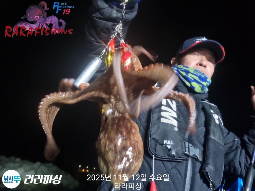 낚시뚜,돌문어,속천항(진해),라라피싱,낚시뚜5
