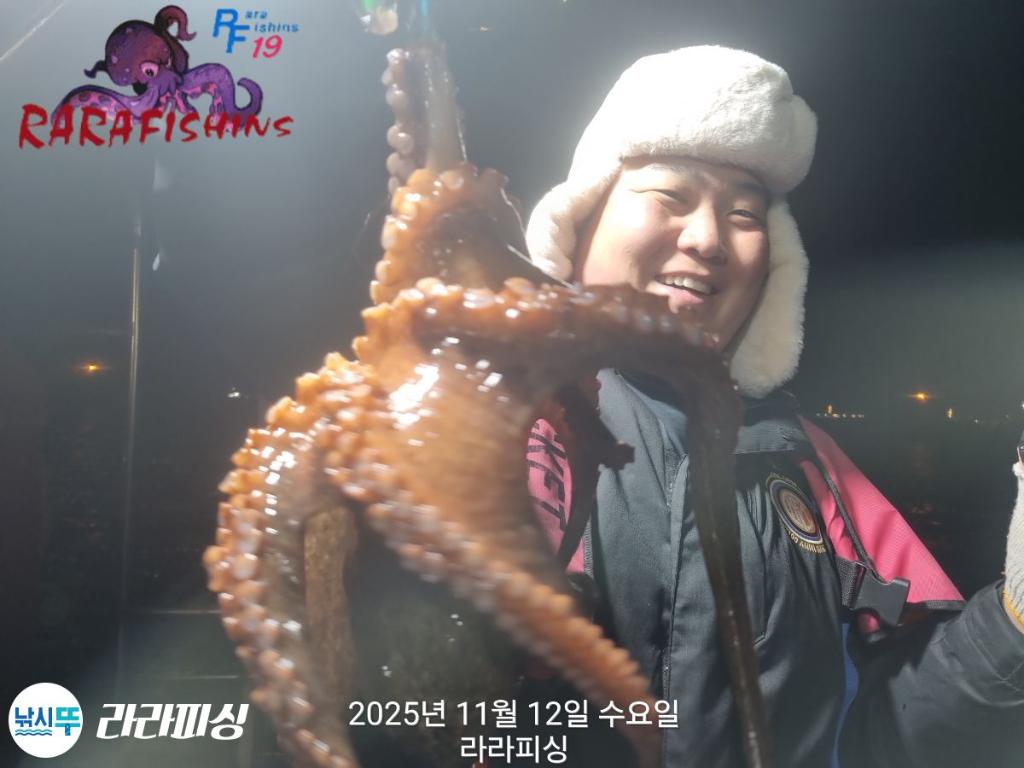 낚시뚜,돌문어,속천항(진해),라라피싱,낚시뚜2