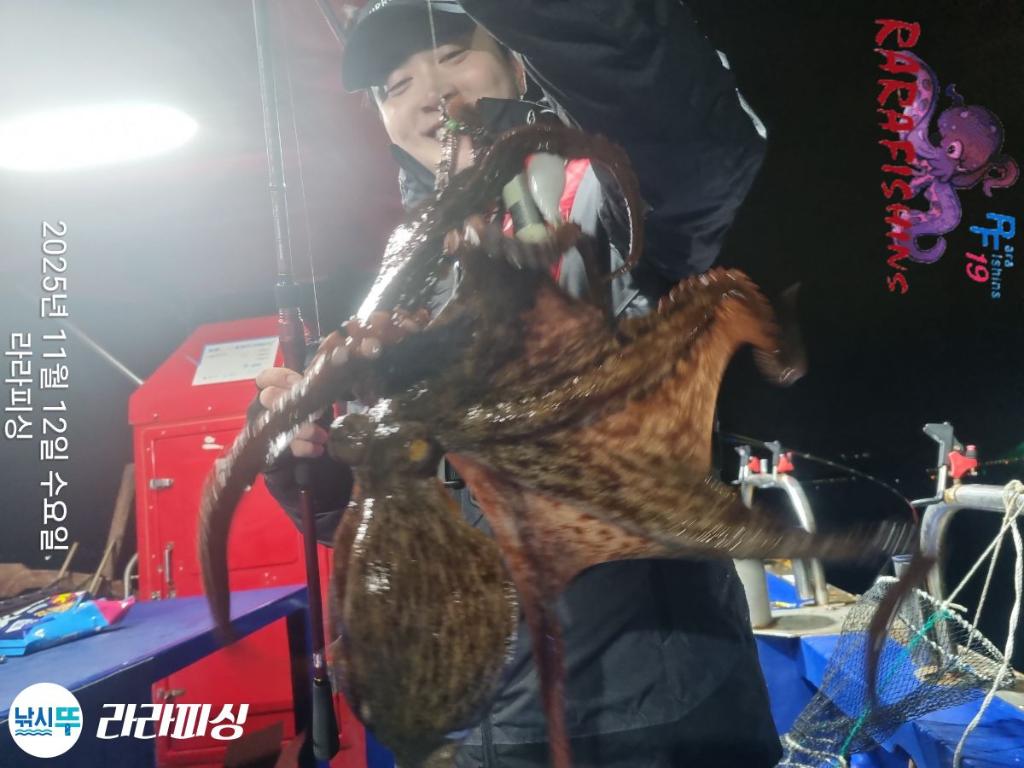 낚시뚜,돌문어,속천항(진해),라라피싱,낚시뚜0