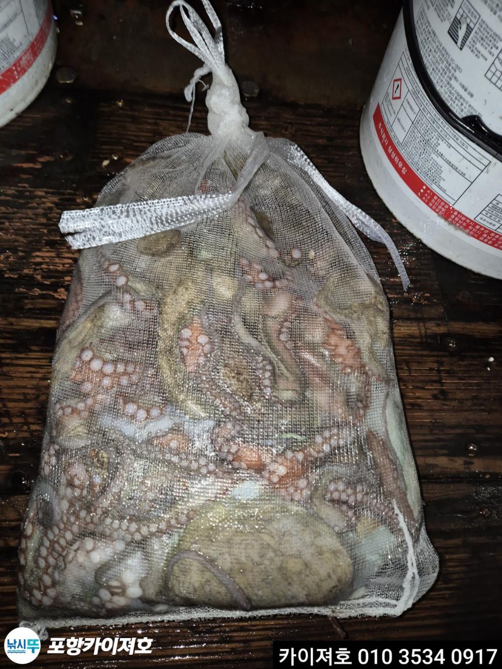 낚시뚜,기타 (직접입력),영일만항,포항카이져호,낚시뚜7