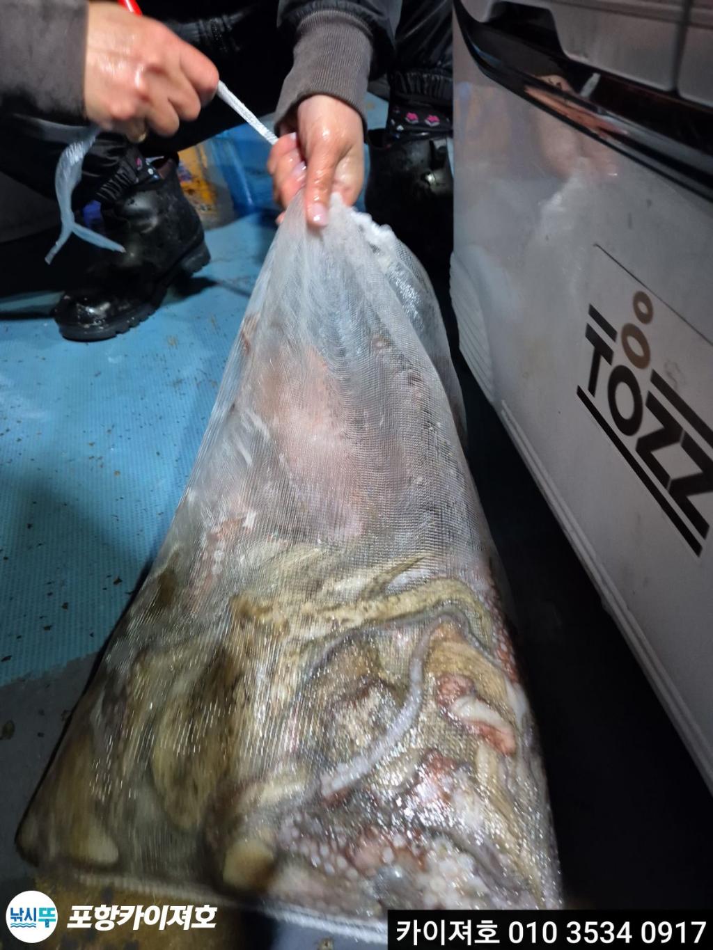 낚시뚜,기타 (직접입력),영일만항,포항카이져호,낚시뚜3